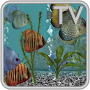 icon Discus Fish Aquarium TV Live (Discus Balık Akvaryumu TV Canlı)