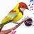 icon Birds Ringtones(Kuşlar Sesler ve Kuşlar Zil Sesleri) 2.0.3