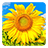icon Golden Sunflower Live Wallpaper(Altın Ayçiçeği LWP) 3.5