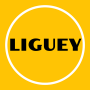 icon Liguey()