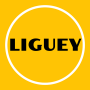 icon Liguey ()