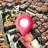 icon Live Earth Map(Canlı Dünya Haritası 3D-GPS 360 derece görünüm) 1.17