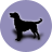 icon Dog(Köpek Irkları) 2.4.0