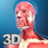 icon My Muscle Anatomy 3.3