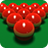 icon Pro Snooker 2021(Pro Snooker 2024) 1.45