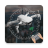 icon GoFlyD.J.IDrone(DJI Drone modelleri için Fly Go) 11.0