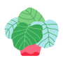 icon A Plant Care App(Bitki Bakım Uygulaması / Hatırlatma)