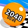 icon Ball Run 2048 Guide(Topu Run 2048 Kılavuzu
)