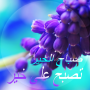 icon Arabic Good Morning(Arapça Günaydın)