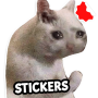 icon Stickers Cats Memes(Cat Memes Etiketler WASticker)