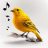 icon Bird Calls(Kuş Sesleri, Sesler ve Zil Sesleri) 13.2.2