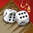 icon Backgammon Plus(Tavla artı) 4.25.0