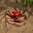 icon Life of Phrynus(Phrynusun Yaşamı - Whip Spider) 1.0