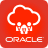 icon Oracle HCM Cloud(Oracle Fusion Uygulamaları) 11.13.23.01.01