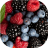 icon Wild berries live wallpaper(Yabani meyveler canlı duvar kağıdı) 5.0