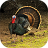 icon Turkey bird Sounds(Turkey Bird: Sesler ve Çağrılar) 1.5