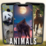 icon Animals Wallpaper HD 4K (Hayvanlar Duvar Kağıdı HD 4K
)