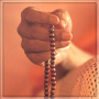 icon SATSANG NITYA GAAN (Yok SATSANG NITYA GAAN Mycelium
)