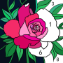 icon Daily Color(Günlük Renk - Numaraya Göre Renk)