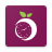 icon Plum Clock(Zip Clock) 9.3