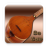 icon Persian Setar(Saz İran Setar Pro) 3.2