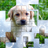 icon PicPu Dog Puzzle(PicPu - Köpek Resmi Bulmaca) 2.00