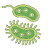 icon Bacteria(Bakteriler: Türler, Enfeksiyonlar) 1.0.34.127