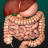 icon Internal Organs 3D Anatomy(İç Organlar) 3.1