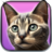 icon My Kitten(My Kitten: Sanal Evcil Hayvan) 4.2.4