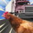 icon Chicken Royale(Chicken Royale: Chicken Ch VPN ProMaster - Livetalk Giant Rush için net Canlı Görüntülü Görüşmenizi) 2.5