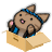 icon Cat Hanabi(Kedi Hanabi) 1.7.1