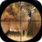 icon Deer Hunting Calls(Geyik Avı Çağrıları Soundboard) 2.0