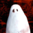 icon Paranormal(Paranormal: Çok Oyunculu) 2.142