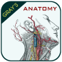 icon Anatomy(Gray's Anatomy - Anatomy Atlas
)