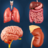 icon Organ Anatomy(Organlarım Anatomisi) 3.6