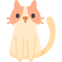 icon british_longhair_cat(İngiliz Uzun)