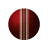 icon live cricket score(DreamTeam11 Uygulaması Orijinal Uygulama
) 1.1