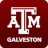 icon TAMUG(Teksas A M Üniversitesi Galveston) 2020.10.0530 (build 10171)