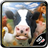 icon FarmRace(Çiftlik Yarışı) 15.0