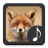 icon Fox Sounds(Tilki sesleri) 2.0.0