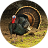 icon Turkey bird Sounds(Turkey Bird: Sesler ve Çağrılar) 1.6