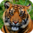 icon Tiger Wallpapers(Kaplan Duvar Kağıtları) 1.0