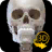 icon Skelett(İskelet | 3D Anatomi) 2.4.3