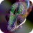 icon Chameleon Live Wallpaper(Bukalemun Canlı Duvar Kağıdı) 3.0