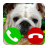 icon Fake Call Dog Game(sahte arama köpek oyunu) 2.0
