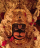 icon Karyasidhi Anjaneya(KaryaSiddhi Hanuman Tapınağı) 1.0