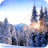 icon Winter Paradise 4K Live Wallpaper(Kış Cenneti 4K Canlı Duvar Kağıdı
) 1.0.0