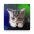 icon Sleepy Kitten Live Wallpaper(Sleepy Kitten Duvar Kağıdı) 1.1.1