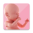icon Pregnancy(Gebelik Takibi ve Gün Gün) 1.2.7