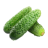 icon tj.agroinform.cucumber(Salatalık: 